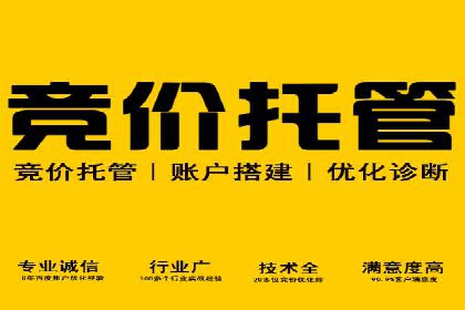 案例教学：轻松掌握竞价推广方法